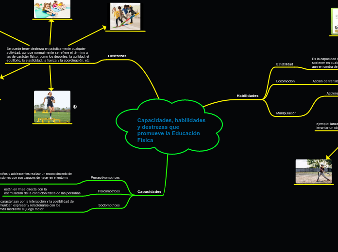 Capacidades, habilidades y destrezas que promueve la Educación Física