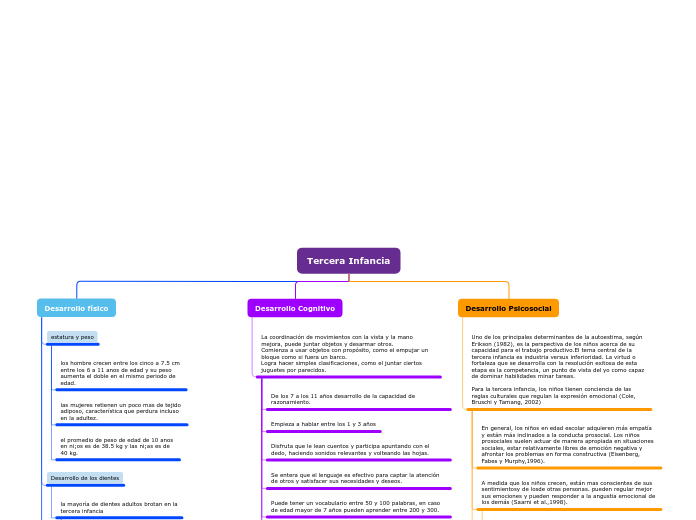 organizador desarrollo