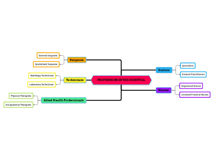 PROFESSIONS IN THE HOSPITAL