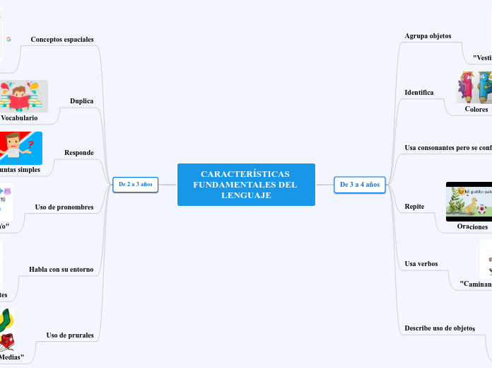 CARACTERÍSTICAS FUNDAMENTALES DEL LENGUAJE