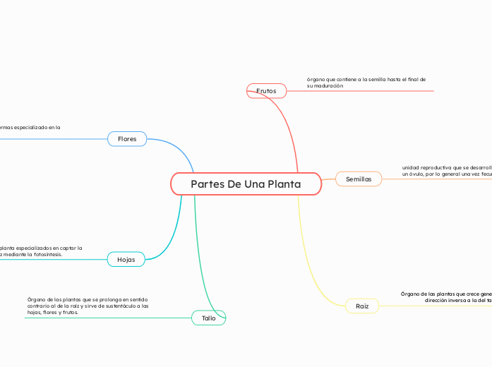 Partes De Una Planta