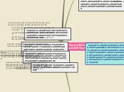 Sample Mind Map