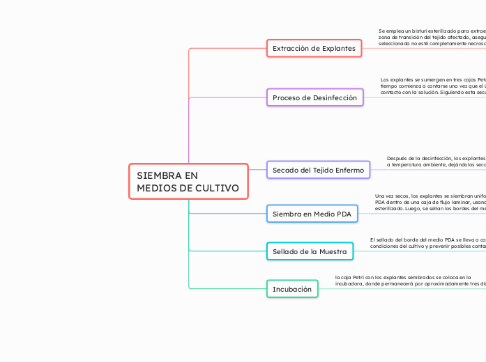 SIEMBRA EN MEDIOS DE CULTIVO