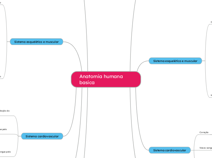 Anatomia humana basica