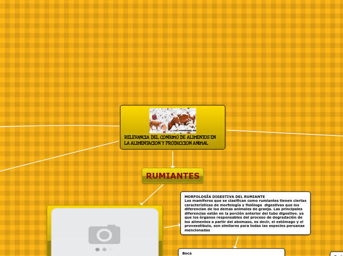 RELEVANCIA DEL CONSUMO DE ALIMENTOS EN LA ALIMENTACION Y PRODUCCION ANIMAL