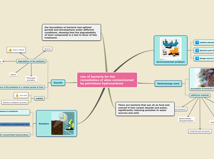 Use of bacteria for the remediation of sites contaminated by petroleum hydrocarbons