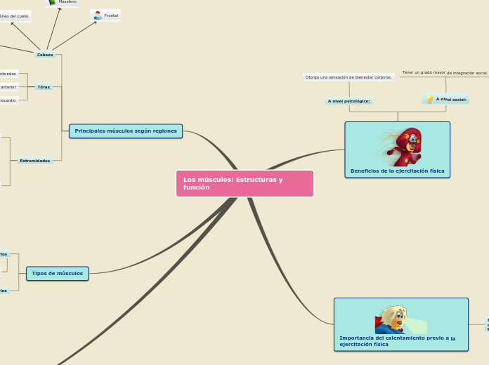 MAPA MENTAL DE LOS MUSCULOS