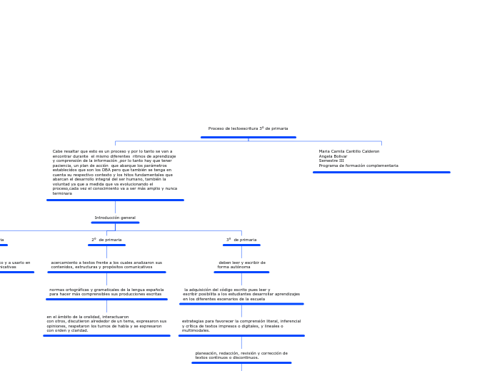 Proceso de lectoescritura 3° de primaria