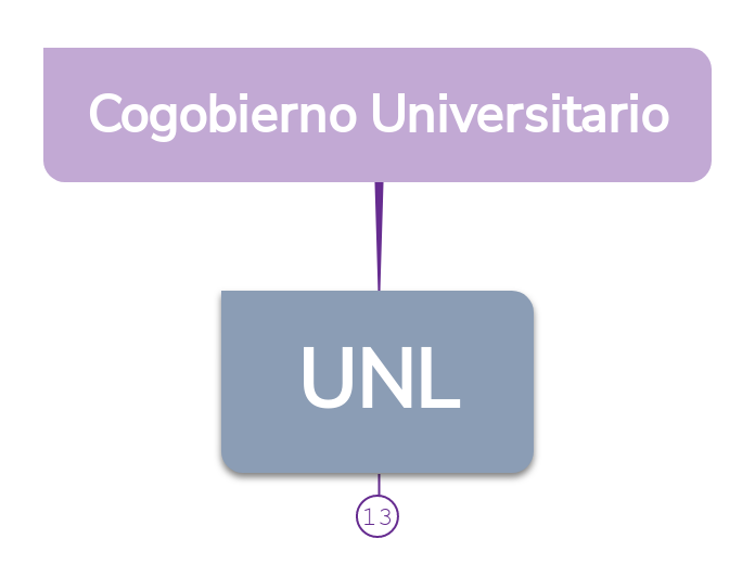 Cogobierno Universitario