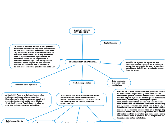 DELINCUENCIA ORGANIZADA