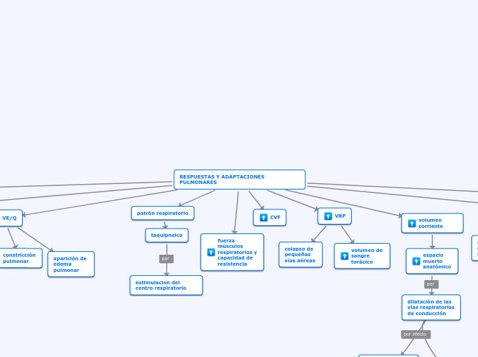 RESPUESTAS Y ADAPTACIONES PULMONARES