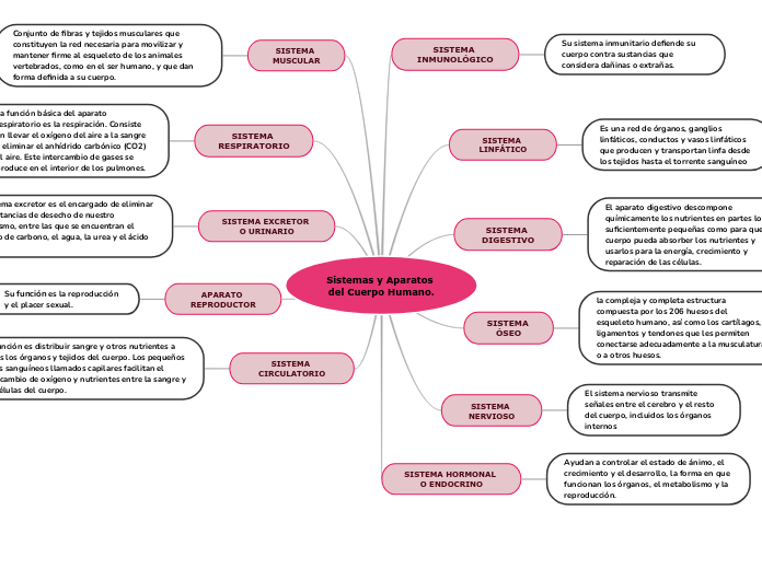 Sistemas y Aparatos del Cuerpo Humano.