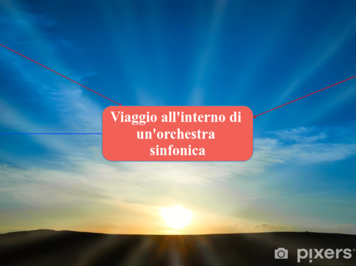 Viaggio all'interno di un'orchestra sinfonica