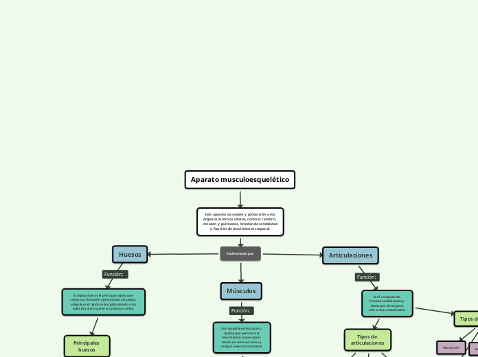 Aparato musculoesquelético