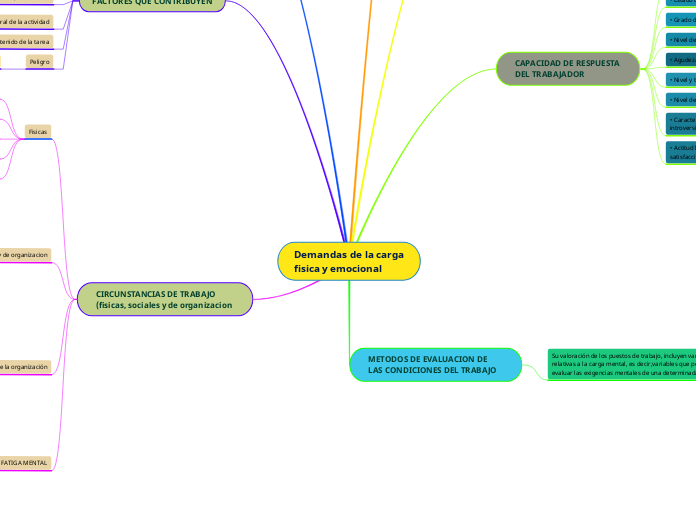 Demandas de la carga fisica y emocional