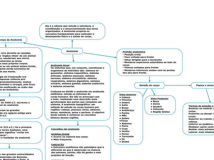 Anatomia