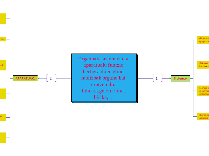 Organoak, sistemak eta aparatuak: funtzio berbera duen ehun multzoak organo bat eratzen du: bihotza,giltzurruna, birika, …