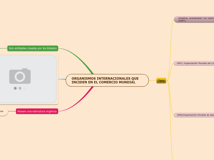 ORGANISMOS INTERNACIONALES QUE INCIDEN EN EL COMERCIO MUNDIAL