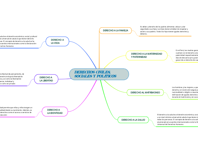 DERECHOS CIVILES, SOCIALES Y POLITICOS