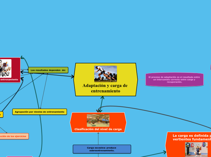 Adaptación y carga de entrenamiento