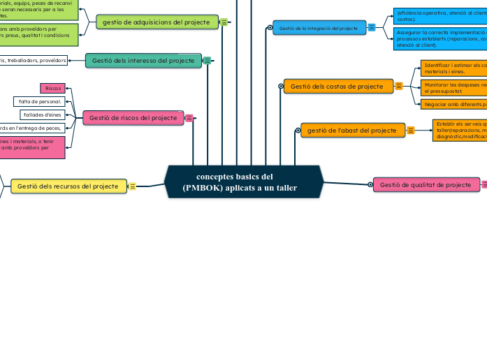       conceptes basics del  (PMBOK) aplicats a un taller 