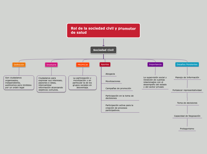 Rol de la sociedad civil y promotor de salud