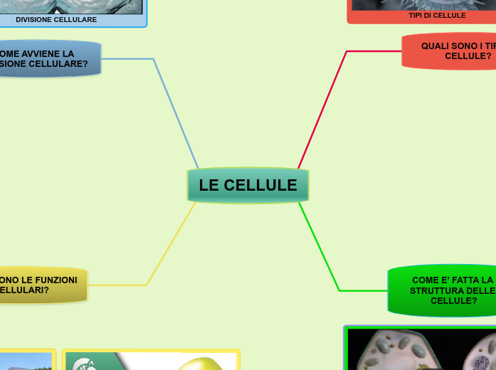 LE CELLULE