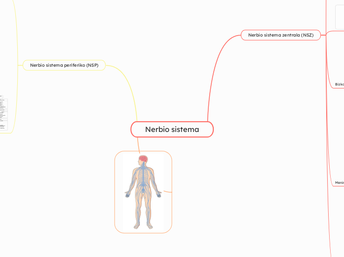 Nerbio sistema, Ekaitz Alcalde 1ºC