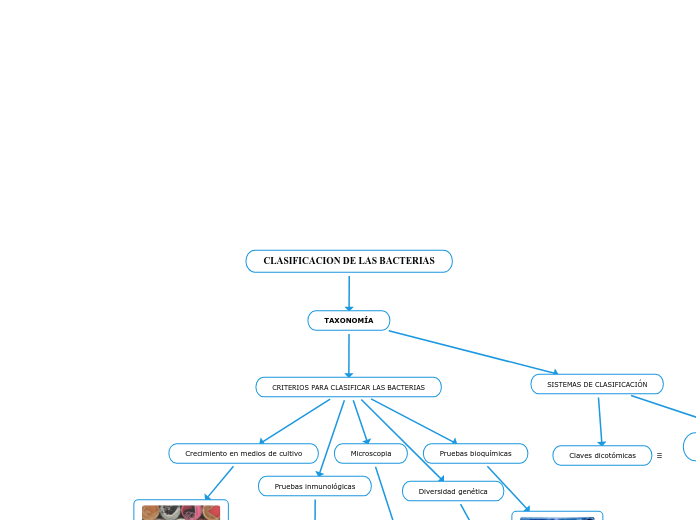 CLASIFICACION DE LAS BACTERIAS