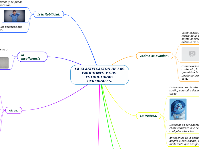 LA CLASIFICACION DE LAS EMOCIONES Y SUS ESTRUCTURAS CEREBRALES.