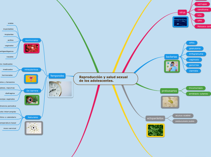 Reproducción y salud sexual de los adolescentes.