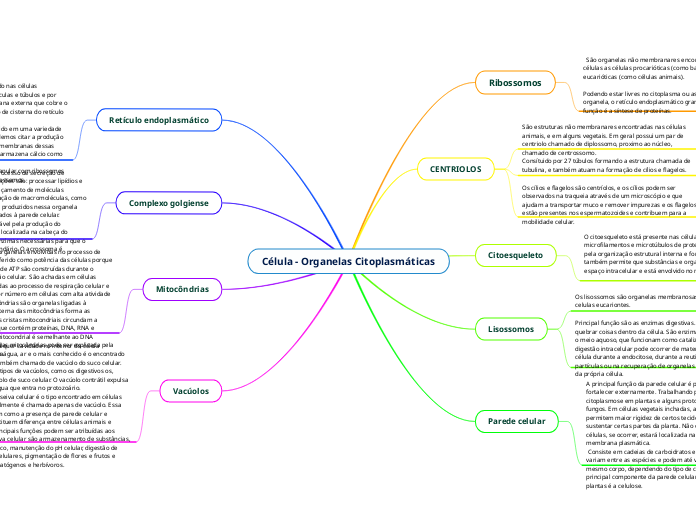 Célula - Organelas Citoplasmáticas