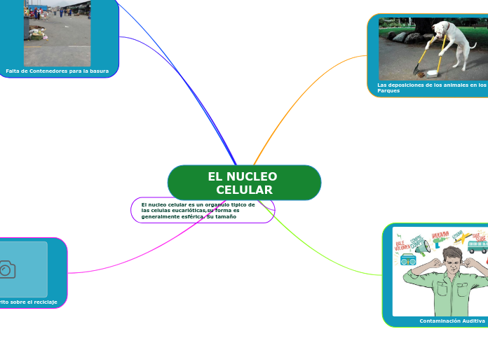 EL NUCLEO CELULAR