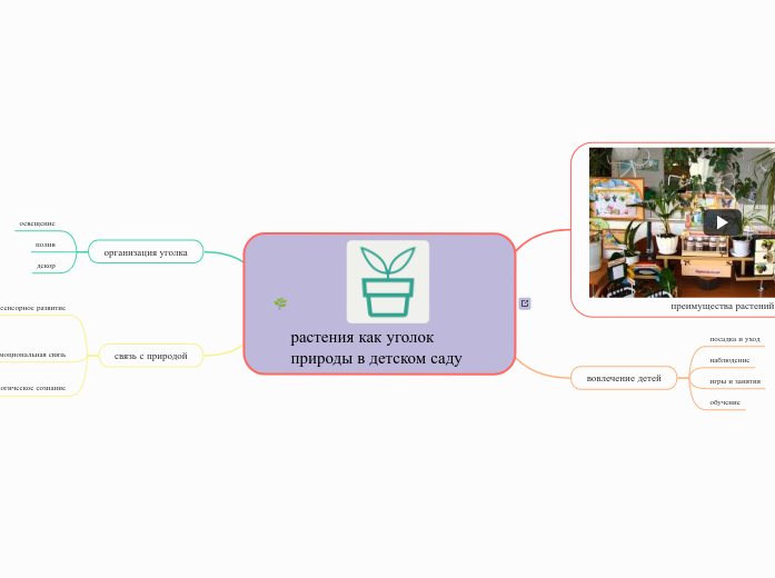 растения как уголок природы в детском саду