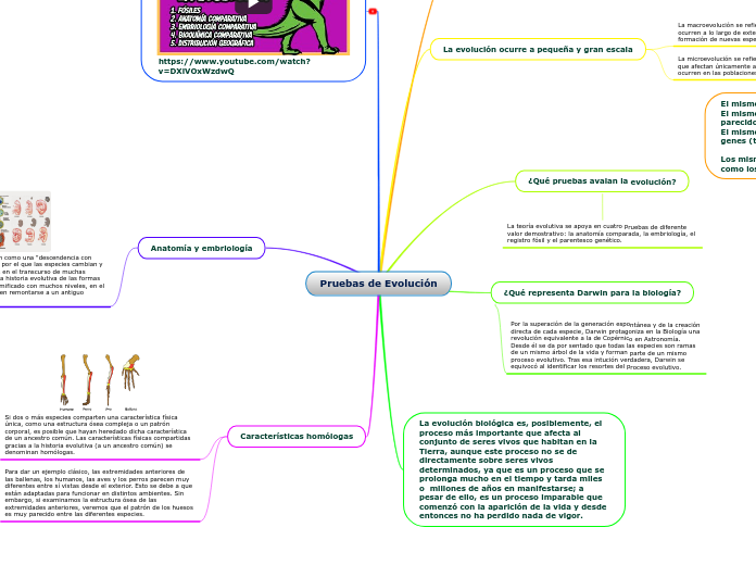 Pruebas de Evolución