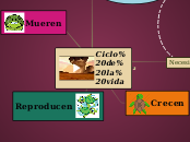 Ciclo de la vida