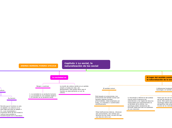 MAPA CONCEPTUAL - ACTIVIDAD 2