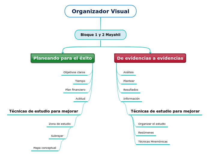 Organizador Visual