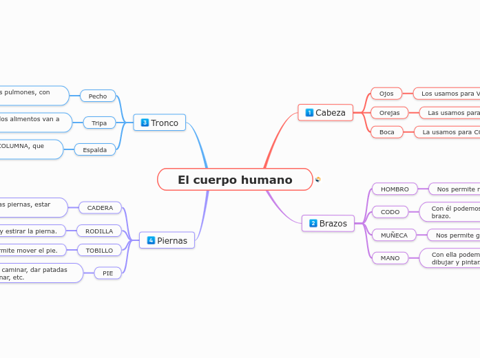 El cuerpo humano