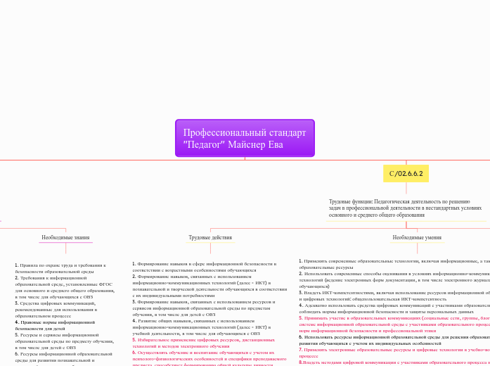 Профессиональный стандарт "Педагог" Майснер Ева