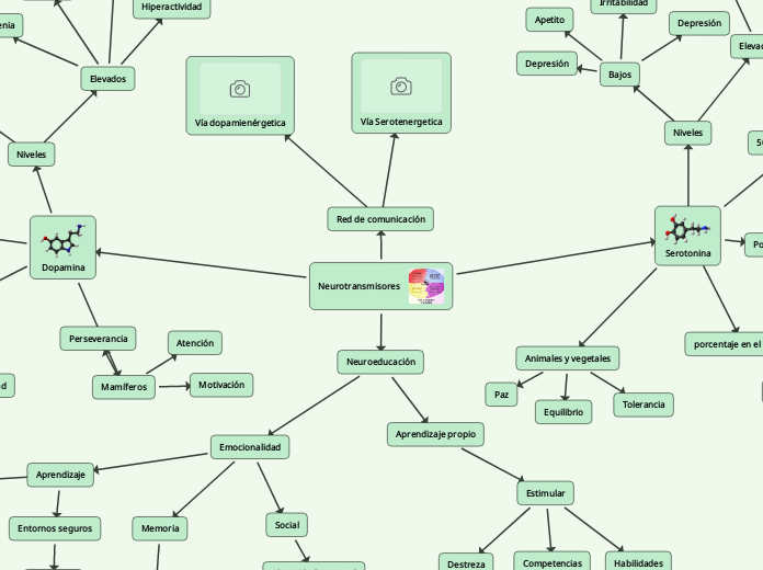 Neurotransmisores