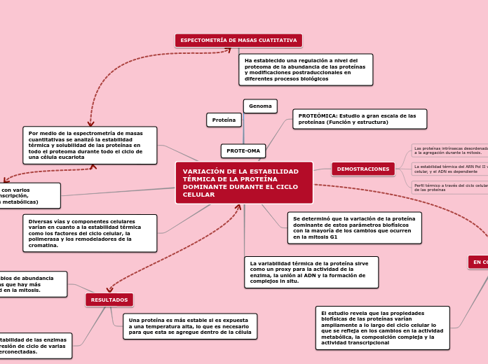 VARIACIÓN DE LA ESTABILIDAD TÉRMICA DE LA PROTEÍNA DOMINANTE DURANTE EL CICLO CELULAR