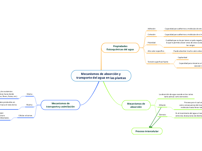 Mecanismos de absorción y transporte del agua en las plantas