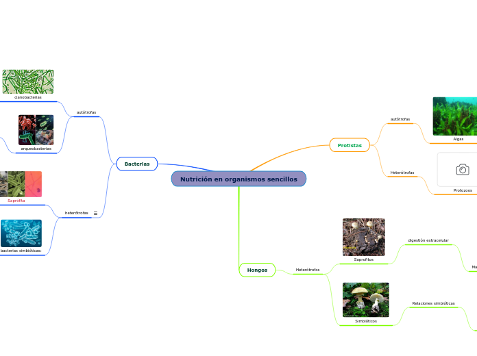 Nutrición en organismos sencillos