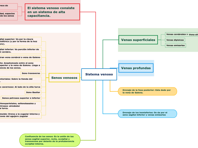 Sistema venoso