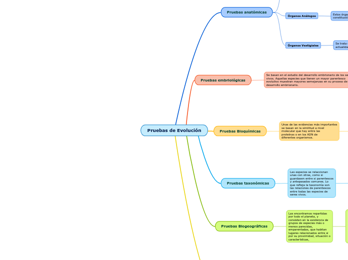 Pruebas de Evolución