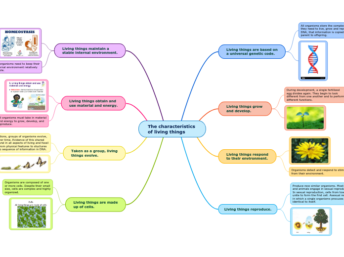 The characteristics of living things