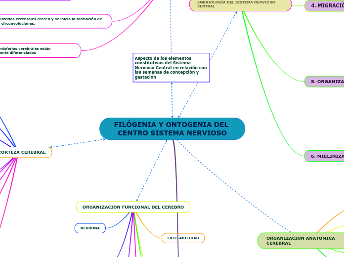 FILÓGENIA Y ONTOGENIA DEL CENTRO SISTEMA NERVIOSO