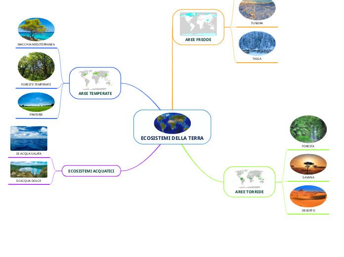 ECOSISTEMI DELLA TERRA