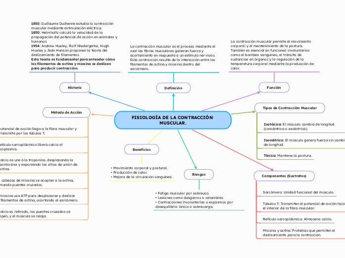 FISIOLOGÍA DE LA CONTRACCIÓN MUSCULAR.